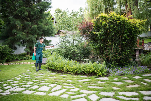 Best Insect Control  in Denver City, TX